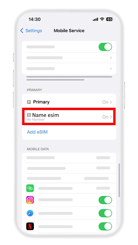Data roaming eSIM